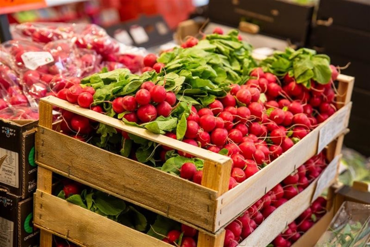 Svarbiausias kriterijus Lietuvos gyventojams renkantis vaisius ir daržoves – jų šviežumas, atskleidė naujausias „Lidl Lietuva“ užsakymu bendrovės „Norstat“ atliktas tyrimas.