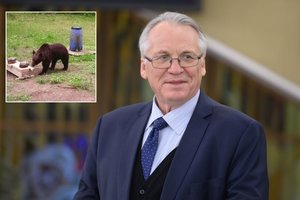 Mečys Laurinkus. Kokį klausimą iškelti privertė klajojanti meška