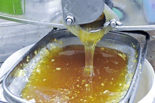 Medaus pardavėja Šilutės turguje gavo netikrą 20 eurų kupiūrą