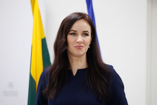 I. Ruginienė: visuomenė dar nėra pasiruošusi Stambulo konvencijos ratifikavimui