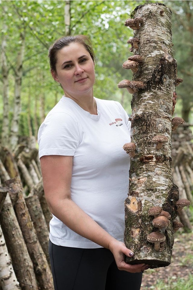 „Jeigu būtume žinoję, kas mūsų laukia, ko gero, būtume ir nepradėję“, – atvira netoli Klaipėdos nedidelį šitakio (Shiitake) grybų ūkį jau kelerius metus puoselėjanti Renata Rimkienė.<br>V. Jurevičienės nuotr.