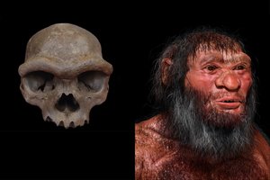 Pagaliau paaiškėjo, kas iš tiesų yra „Drakono žmogus“