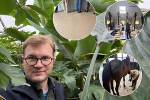 Švedijos mokyklas aplankęs mokytojas įvardijo, ko iš jų galėtų pasimokyti Lietuva: kai kas ypač nustebino