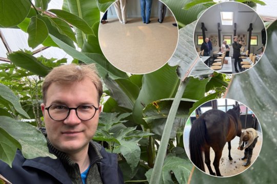 Švedijos mokyklas aplankęs mokytojas įvardijo, ko iš jų galėtų pasimokyti Lietuva: kai kas ypač nustebino