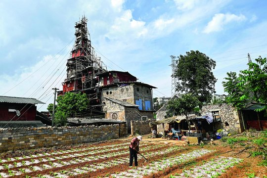 Statybų bendrovė siūlė vyrui parduoti žemę, bet šis pasielgė labai netipiškai: dabar jis – žvaigždė
