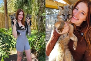 Mirė 29-erių „YouTube“ žvaigždė ir garsi nuomonės formuotoja: vyras kaltina internetines patyčias