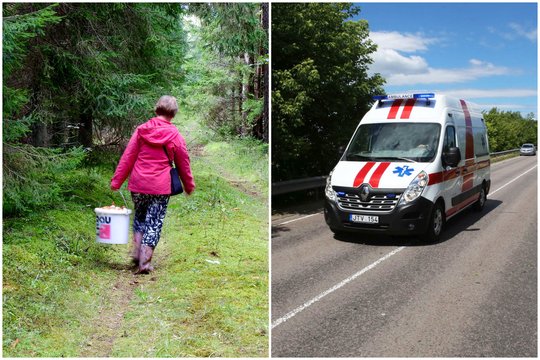 Pas medikus plūsta grybais apsinuodiję lietuviai: ragina nedelsiant kviesti greitąją