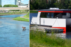 Vilniečiai baiminasi, kad nauja transporto rūšis – ne jiems: kelionių tiesiog neįpirks
