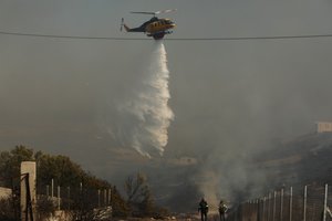 Šalia turistų mylimų Atėnų – didžiuliai miškų gaisrai: evakuojami kaimai, padėtį pareigūnai vadina dramatiška