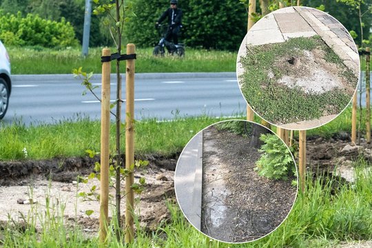  Skaičiai kelia siaubą: Vilniaus gatves žiemą „įsūdė“ tiek, kad druska neištirpo iki šiol