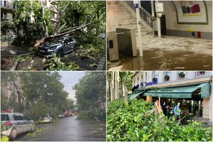 Košmariški vaizdai Prancūzijoje: audra lyg degtukus laužė medžius, tarp žuvusių – 12-metis vaikas