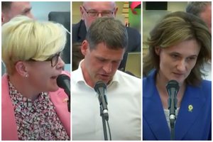 Dėl prieštaringo klausimo Seime kilo emocijų audra: pylėsi epitetai „suskis“ ir „debilai“