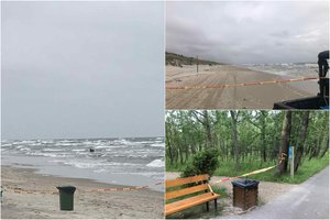 Smiltynės paplūdimyje – sąmyšis: į jūrą įbrido briedis, gelbėtojams nepavyksta jo išvaryti 