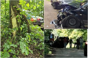 Panevėžio rajone automobilis rėžėsi į medį ir apvirto – vairuotojas įpūtė 3 promiles