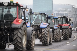Įvertino mokesčių pertvarką: Lietuvoje turėsime daugiau ūkininkų