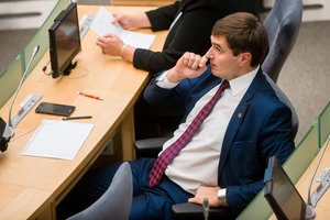 S. Skvernelis įvertino Seimo sesiją: gėdingiausias dalykas buvo A. Dudėno gelbėjimo operacija