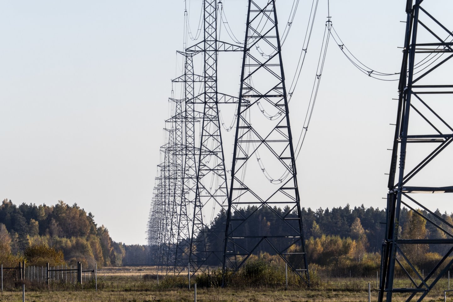 Elektra.<br>V.Ščiavinsko nuotr.