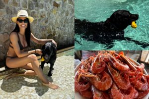 Pavydėtina Š. Jasikevičiaus gražuolės žmonos vasara: parodė, kaip Barselonoje atrodo tobuli sekmadieniai