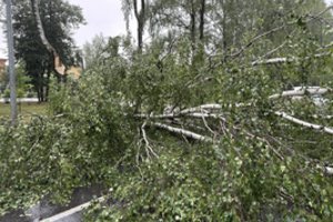 Išvirtę medžiai, lūžtančios šakos ir net kilę gaisrai: per savaitgalį Lietuvoje – pranešimų virtinė