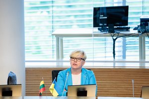 I. Šimonytė įvertino G. Palucko įžūlumą Seimo tribūnoje: apgailėtina