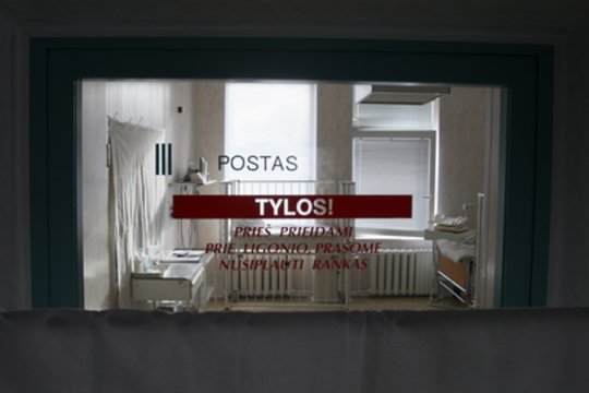 Klaipėdos apygardos teisme - nuosprendis už pasikėsinimą nužudyti mažametę: kaltinamasis atsipirko lygtine bausme