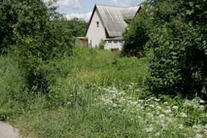 Nauja tvarka: nuo liepos 1 d. dėl žemės po jūsų pastatu – viskas paprasčiau ir greičiau