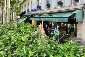 Prancūziją siaubusios audros padariniai vis dar juntami: sustabdytas traukinių eismas į Italiją