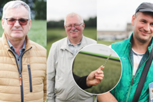 Prieš javapjūtę ūkininkų dėmesys krypsta į vieną detalę: tai padeda gerokai daugiau uždirbti