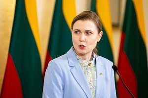 J. Olekas įvertino D. Šakalienės ir E. Paulavičiaus konfliktą