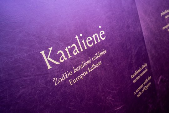 Moterų vaidmuo XVI amžiuje: karalienės dažnai buvo diplomatinio žaidimo dalis 