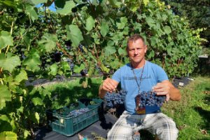 „Jaučiuosi kuriantis tikrą gyvenimą“: miškininkas ir vyndarys suderino dvi skirtingas profesijas