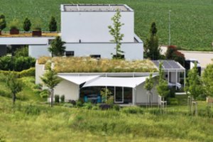 Namai, kurių interjerą puošia tai, kas sukurta kitapus sienų: fantastiški želdynai