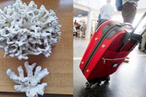 Dalykai, kuriuos būtina žinoti norintiems parsivežti lauktuvių: galima užsitraukti baudą iki 6 tūkst. eurų