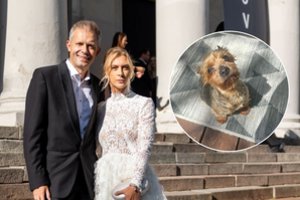 Andriaus Tapino šeimą papildė 4 šuo: paviešino jautrią istoriją ir širdį tirpdančias nuotraukas