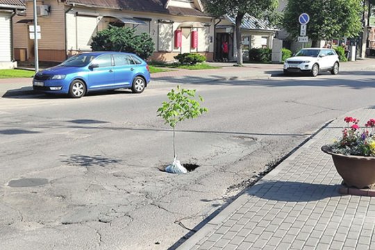 Vienoje gatvių nebeapsikentė tragiškos kelio būklės: į duobę pasodino medį
