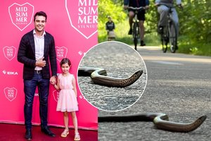 Judriame take išvydęs netikėtą gyvį Paulius Skučas ėmėsi veiksmų: ragina tai daryti ir kitus