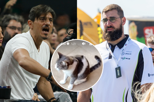 Su katinu bendravęs „Panathinaikos“ bosas paklausė apie J. Valančiūną: „Ar jau turi rašiklį?“