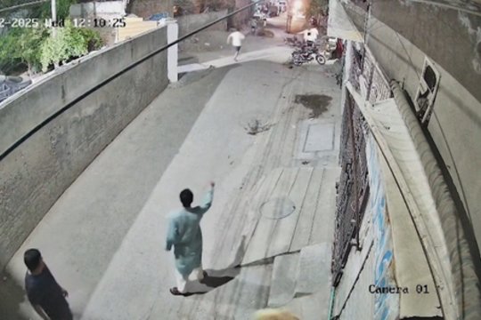 Pakistane pabėgęs liūtas užpuolė moterį su vaikais: paviešino kraupią nelaimės akimirką