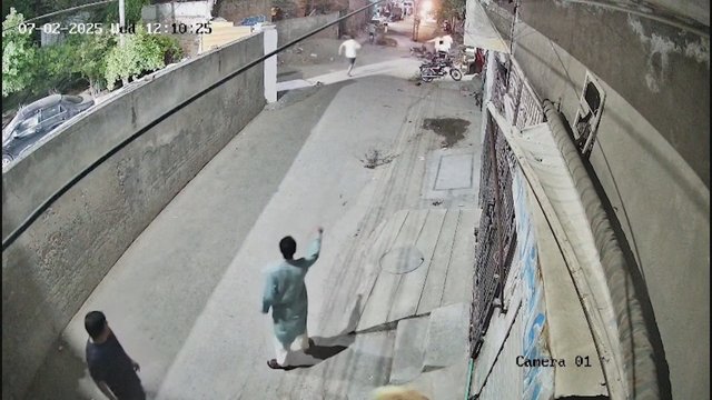 Pakistane pabėgęs liūtas užpuolė moterį su vaikais: paviešino kraupią nelaimės akimirką
