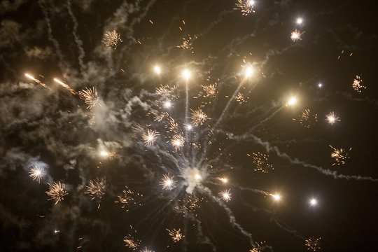 Žaliųjų partija sostinės savivaldybei pateikė peticiją dėl pirotechnikos draudimo parkuose