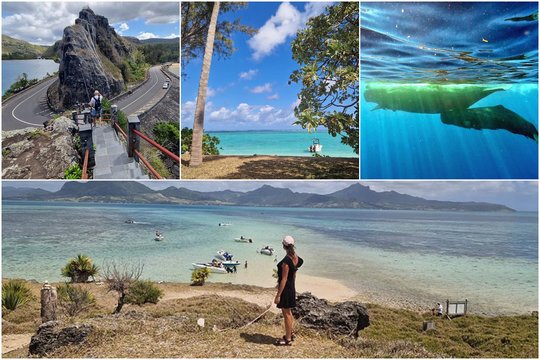 Kašalotų būriai ir skraidančios lapės: „Ta vieta, į kurią norėčiau sugrįžti“