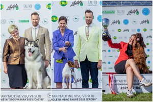 Tarptautinėje šunų parodoje – veisėjų iš Lietuvos triumfas: aukščiausią įvertinimą nuskynė daugelio parodų favoritas Dantė