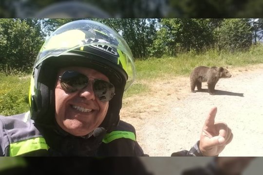 Asmenukė, kainavusi gyvybę: turistų pamėgtoje vietoje meška mirtinai sudraskė vyrą