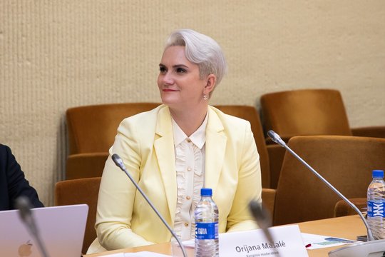 O. Mašalė: Infrastruktūros valdymo agentūros pertvarka šiemet kainuos kelis milijonus eurų