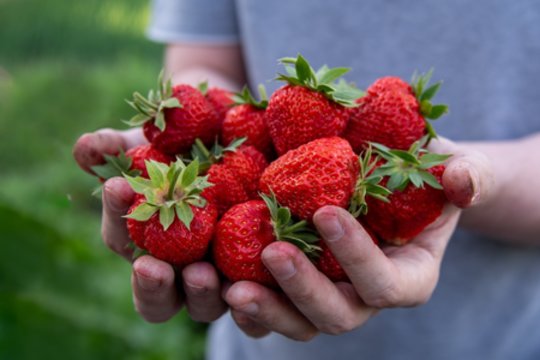 Vasaros supermaistas: ką valgyti, kad jaustumėtės geriau?