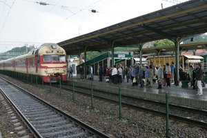 Meta akmenį dėl Kaune vykdomų atnaujinimo darbų: į dalies nuomonę atsižvelgta nebuvo