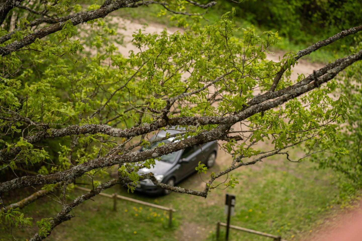 Atostogų sezonu vis daugiau vairuotojų leidžiasi į kelią, o automobilius dažnai palieka neįprastose vietose.