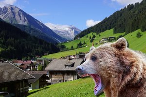 Ant kojų lietuvius sukėlusi meška – kasdienybė kitur: kaip saugosi europiečiai?