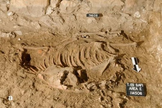 Rastas neįprastas „aukų asilas“ su nupjauta galva