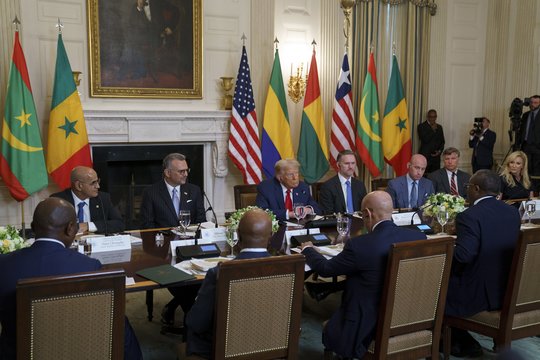 Po pagyrimo Liberijos prezidentui D. Trumpas susilaukė kritikos: nežinojo gimtosios šalies kalbos